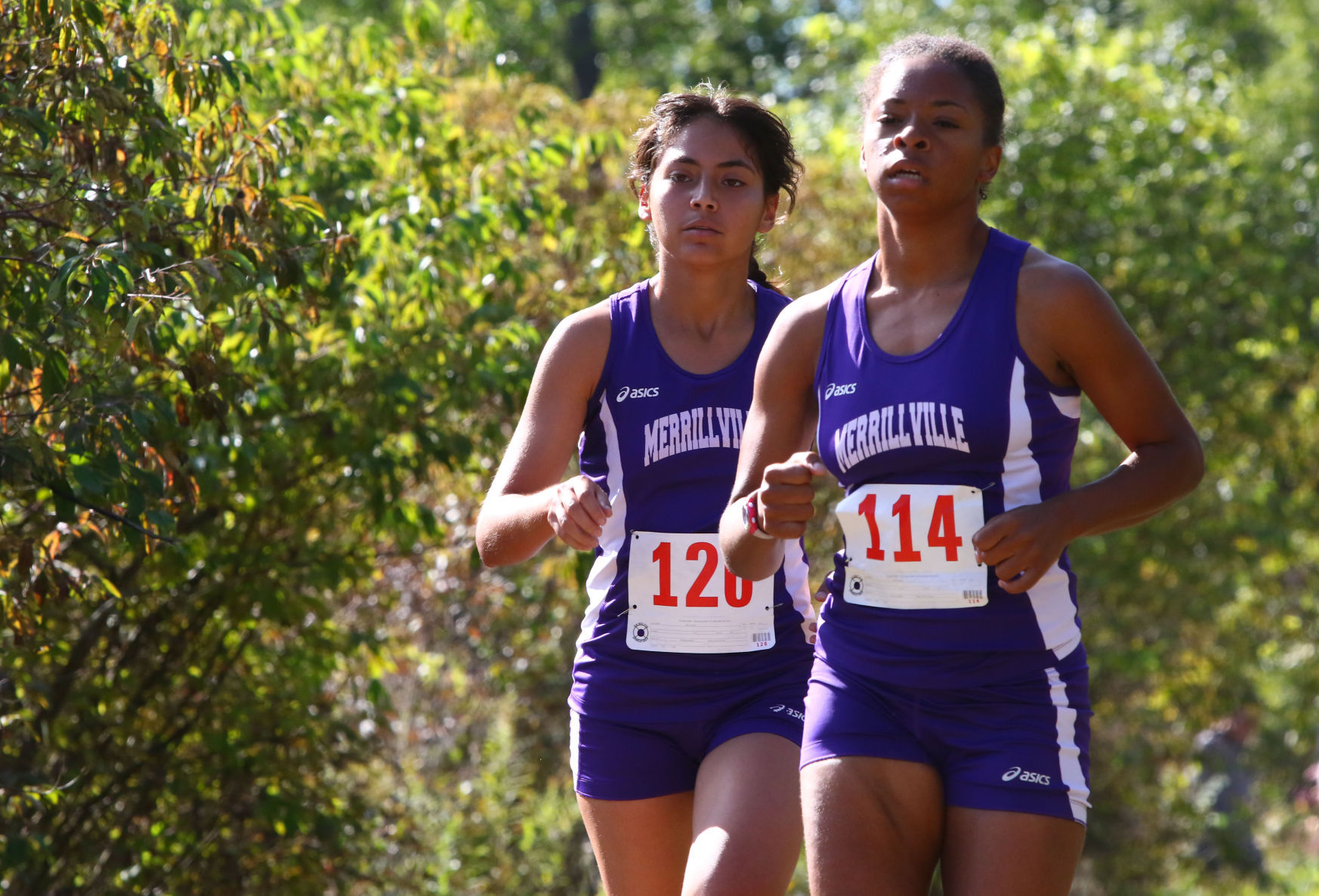 Gallery: Duneland Athletic Conference cross country meet